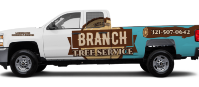 Branch Tree Service Branch Tree Service